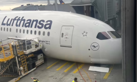 Video:Momento de tensión en el Aeropuerto de Fráncfort!