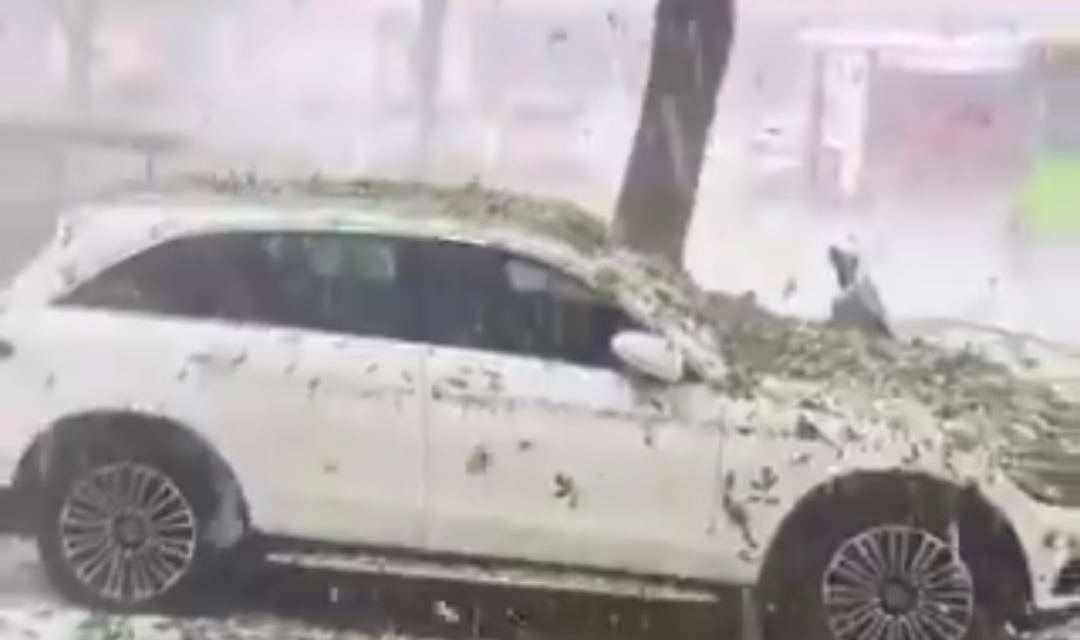 VIDEO:FUERTE TORMENTA DE GRANIZO CUBRE DE BLANCO A LANGFANG EN CHINA 