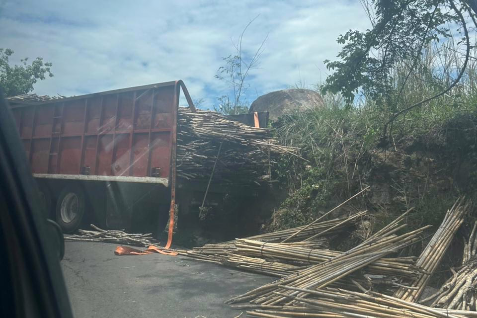 Camión cargado con bambú se accidentó en la carretera Xalapa -Alto Lucero