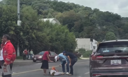 Hombre resulta lesionado tras ser atropellado en la carretera Xalapa-Perote