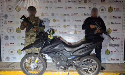 En 48 horas, decomisa SSP alrededor de 75 kilos y más de 300 dosis de presuntos estupefacientes