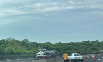 Accidente en la de la carretera Cardel-Veracruz: Tsuru se impacta contra muro divisorio