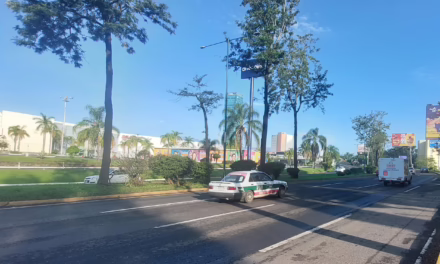 Algunos periodos de sol, sin embargo, existe probabilidad para lluvias y tormentas en gran parte de Veracruz