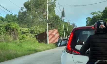 Tráiler se sale de la carretera Las Trancas-Coatepec; reportan tráfico lento en la zona