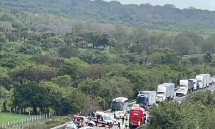 Accidente fatal en la autopista 180 Laguna Verde- Poza Rica: Choque frontal entre particular y autobús ADO