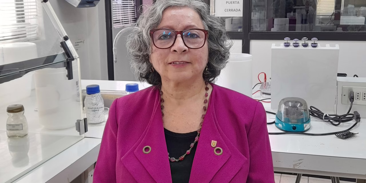 Probiótico que actúa contra la bacteria responsable de la mayoría de los casos de gastritis y un importante factor de riesgo en el cáncer gástrico.