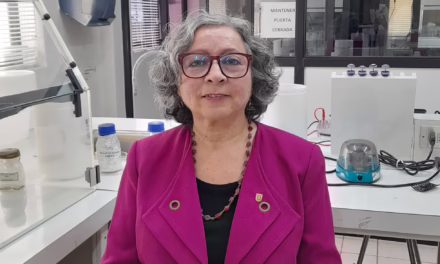Probiótico que actúa contra la bacteria responsable de la mayoría de los casos de gastritis y un importante factor de riesgo en el cáncer gástrico.