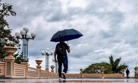 En el estado de Veracruz, este día se espera un gradual aumento de las temperaturas, por lo que se prevé ambiente caluroso