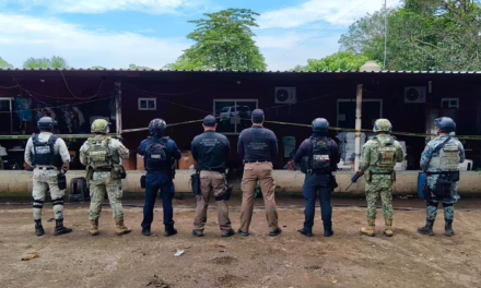 SSP y fuerzas federales aseguran armamento, granadas y droga en Tierra Blanca