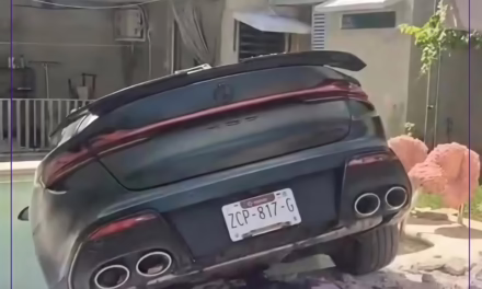 CAMIONETA ATRAVIESA UNA BARDA Y TERMINA EN LA PISCINA