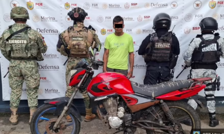 Reporta SSP aseguramiento de 445 kilos de presunta droga y 111 armas largas