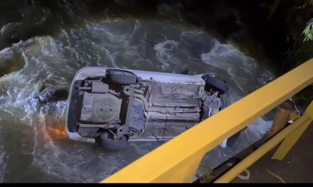 Video: Vehículo cae al río Jamapa; hay dos lesionados
