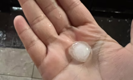 Se registran fuertes lluvias y caída de granizo en Nuevo León, tras jornada de intenso calor