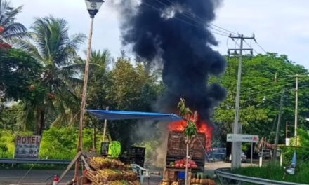 Vídeo:Se incendia camión de carga en El Farallón