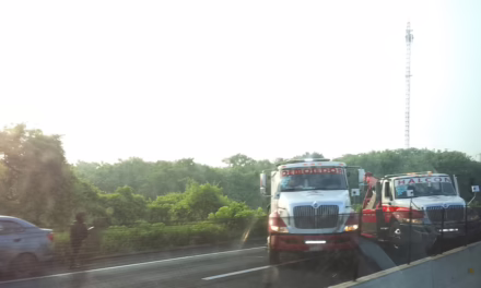 Cierre vial en la carretera Veracruz-Xalapa tras salida de camino de un tractocamión