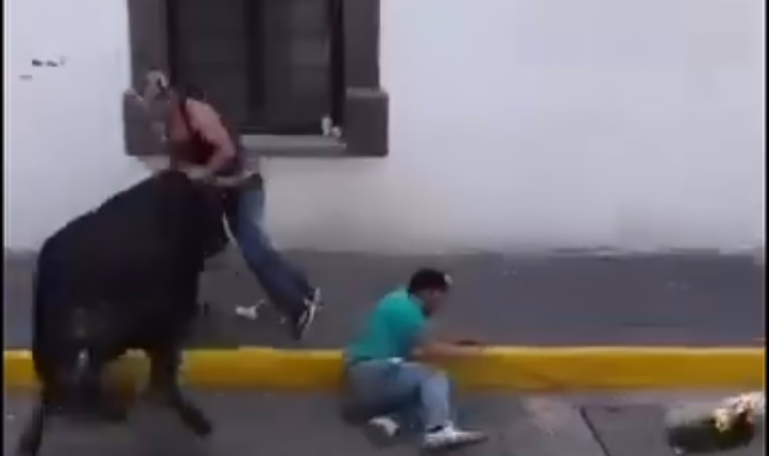 Video: Dos heridos deja la “Pamplonada” en Amaxac de Guerrero, Tlaxcala