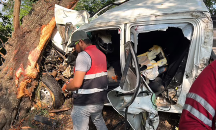 Accidente en la Cardel-Poza Rica: Chofer queda prensado a la altura de El Farallón 