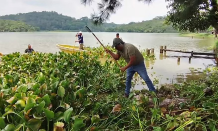 Ayuntamiento de Xalapa, proteg áreas naturales