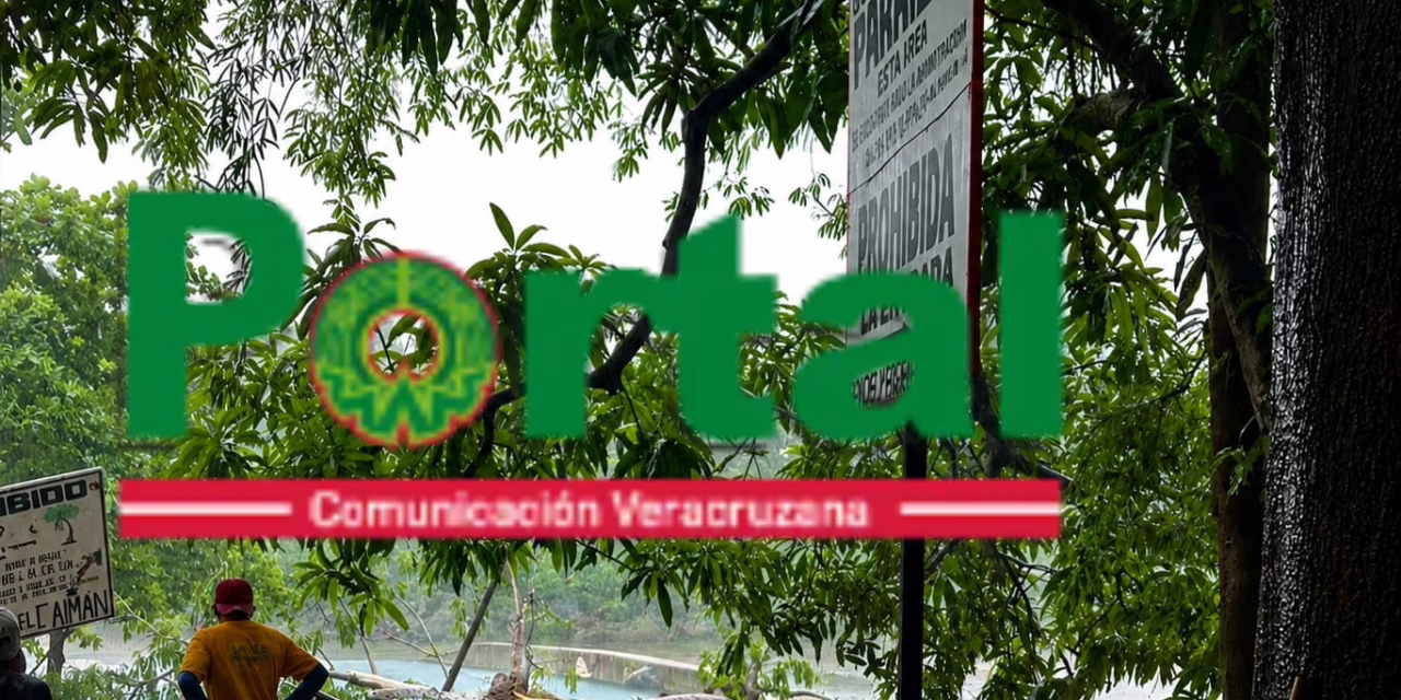 Muere turista tras caída de un árbol en el balneario “Aguas Termales Carrizal”