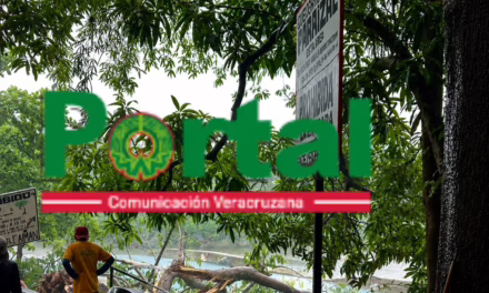 Muere turista tras caída de un árbol en el balneario “Aguas Termales Carrizal”