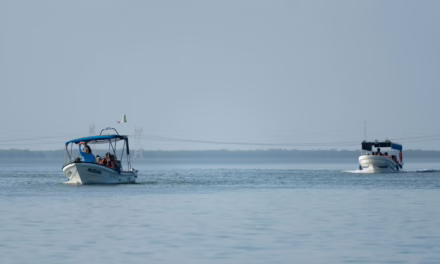 Isla Lobos, un paraíso en la Huasteca veracruzana