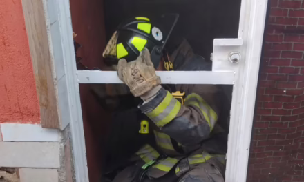 Incendio en la colonia Rafael Lucio moviliza a cuerpos de emergencia