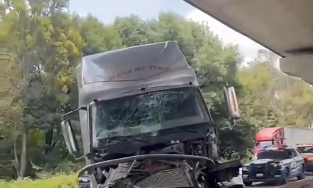 Se accidenta tráiler en la Autopista México-Puebla! 