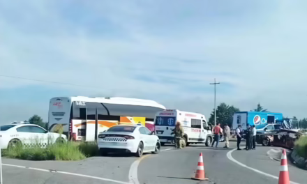 Tragedia en la carretera Perote-Altotonga: choque entre particular y autobús deja tres muertos y un herido grave