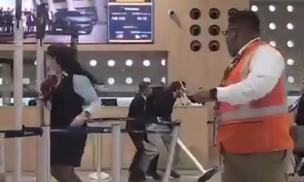 Pasajeros ebrios causan caos en el AICM: son bajados de un vuelo y agreden a personal en la terminal