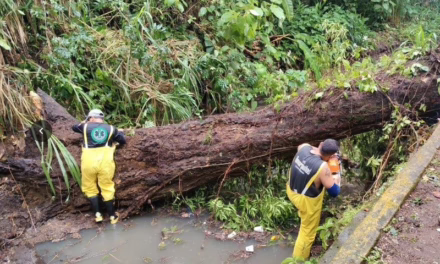 Atiende Gobierno de Veracruz incidencias por lluvias y refuerza prevención