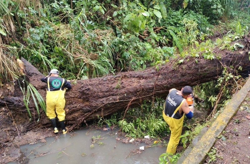 Atiende Gobierno de Veracruz incidencias por lluvias y refuerza prevención