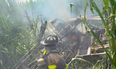 Avioneta de fumigación se desploma en Querétaro; piloto resulta con lesiones leves