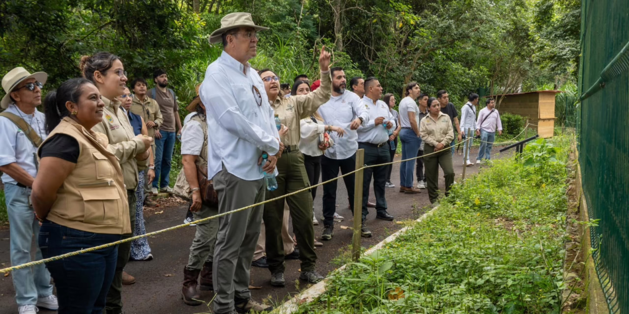 UMA Naturalia promueve modelo integral de atención y manejo de fauna silvestre
