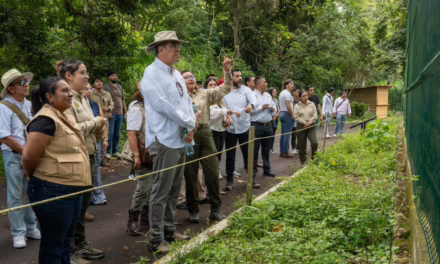 UMA Naturalia promueve modelo integral de atención y manejo de fauna silvestre