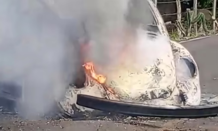 Video:Se incendia “Vocho” en la carretera Paso de Ovejas-Tolome; tripulantes logran salvarse