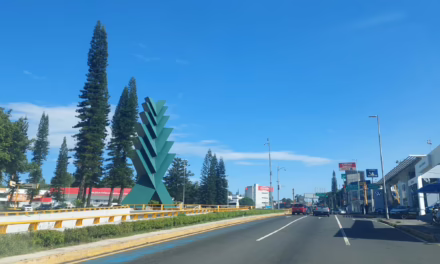 Lluvias ligeras a moderadas vespertinas y nocturnas, en las regiones montañosas y la zona sur del estado de Veracruz