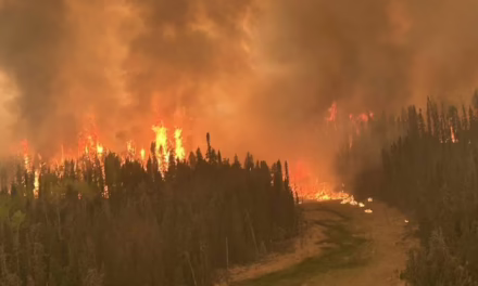 Video: Incendio forestal fuera de control afecta al norte de Ontario, Canadá