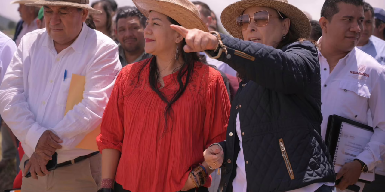Veracruz destinará recursos para elevar a 7 mil pesos el pago por tonelada de maíz: Gobernadora