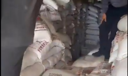 Aseguran más de tres toneladas de metanfetamina en Sonora, informa Harfuch