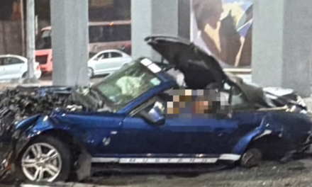 Dos personas que viajaban en un Mustang perdieron la vida, luego de caer desde un puente en la autopista México-Querétaro