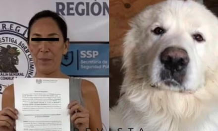 Rocky, un perro de 14 años, murió tras ser arrastrado y atropellado en Saltillo. Su propietaria fue vinculada a proceso por crueldad animal