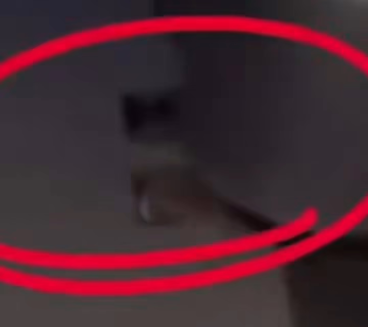 Video:Mujer graba rata en Cinépolis de Perisur