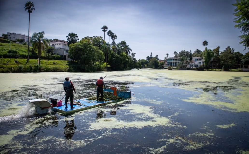 ¡Acciones para el saneamiento y restauración del lago de Las Ánimas! 