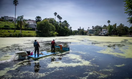¡Acciones para el saneamiento y restauración del lago de Las Ánimas! 