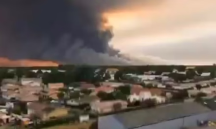 Video: Incendios forestales en Francia obligan a evacuar a 250,000 personas y avanzan hacia Burdeos