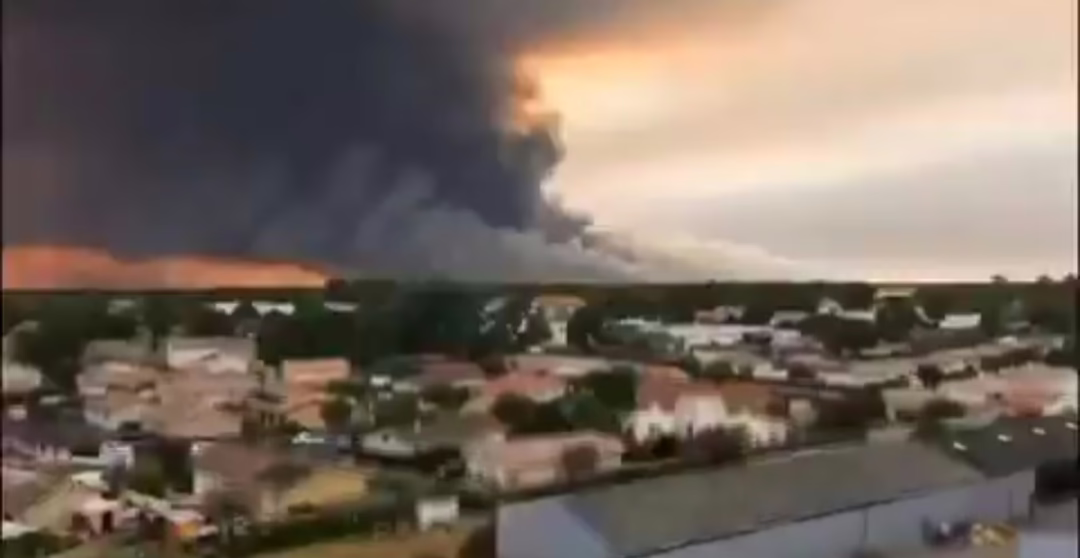 Video: Incendios forestales en Francia obligan a evacuar a 250,000 personas y avanzan hacia Burdeos
