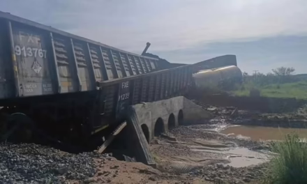 Descarrila tren de Ferromex en Naco, Sonora; reportan escurrimiento de sustancia química