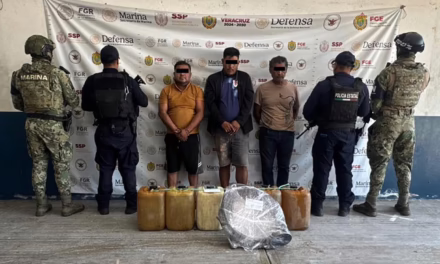 Resultados en seguridad: 51 detenidos y 385 dosis de presunta droga aseguradas