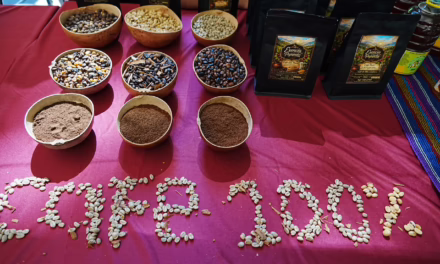 Foros Regionales de Café trazan una ruta para preservar la cultura cafetalera